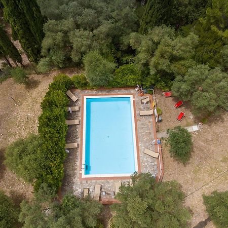 Villa I Tigli Campiglia Marittima Exteriör bild