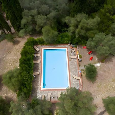 Villa I Tigli Campiglia Marittima Exteriör bild