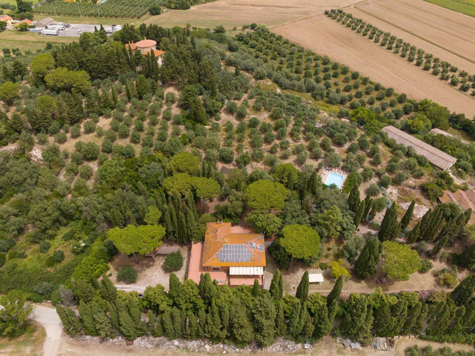 Villa I Tigli Campiglia Marittima Exteriör bild