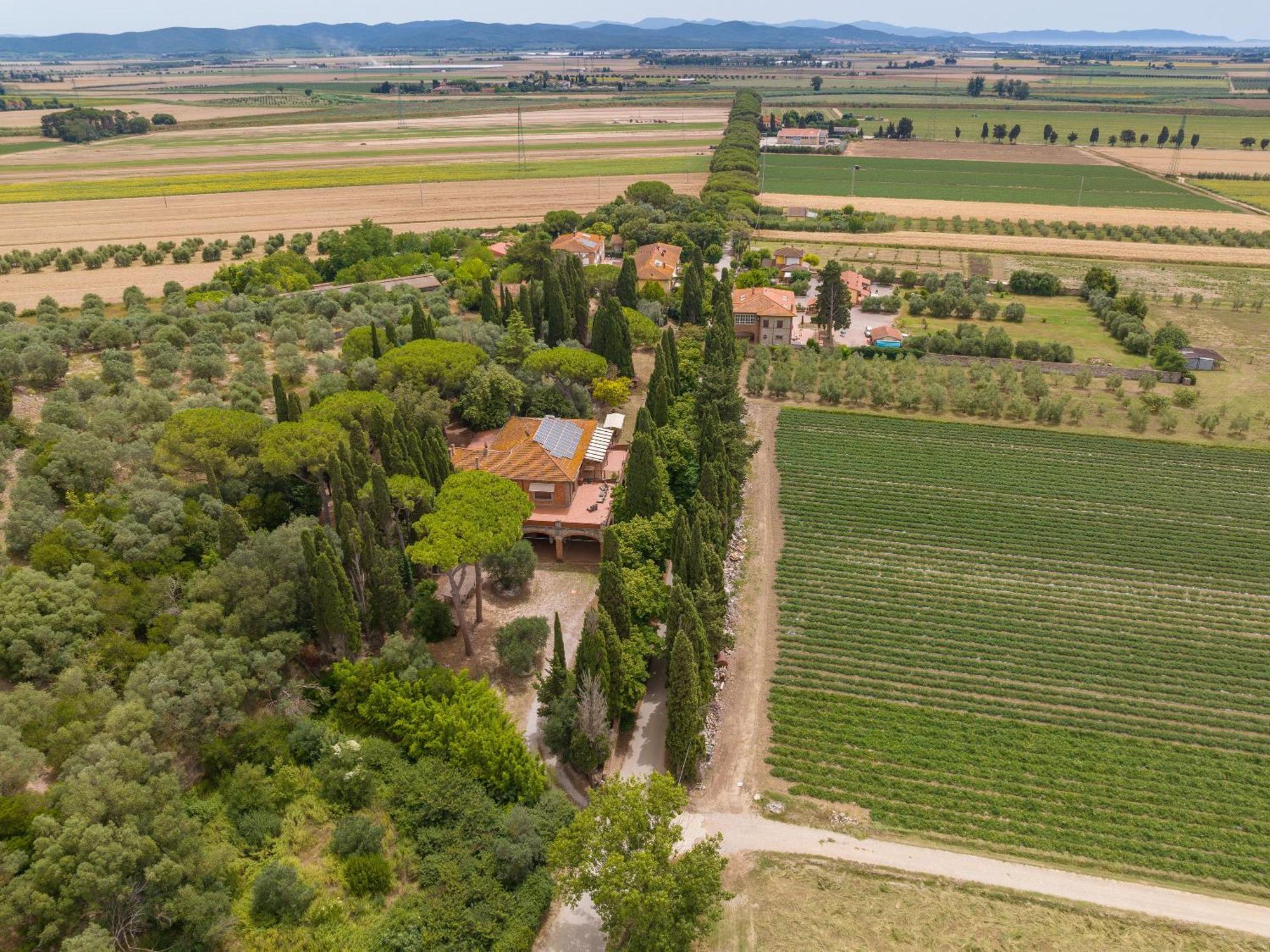Villa I Tigli Campiglia Marittima Exteriör bild