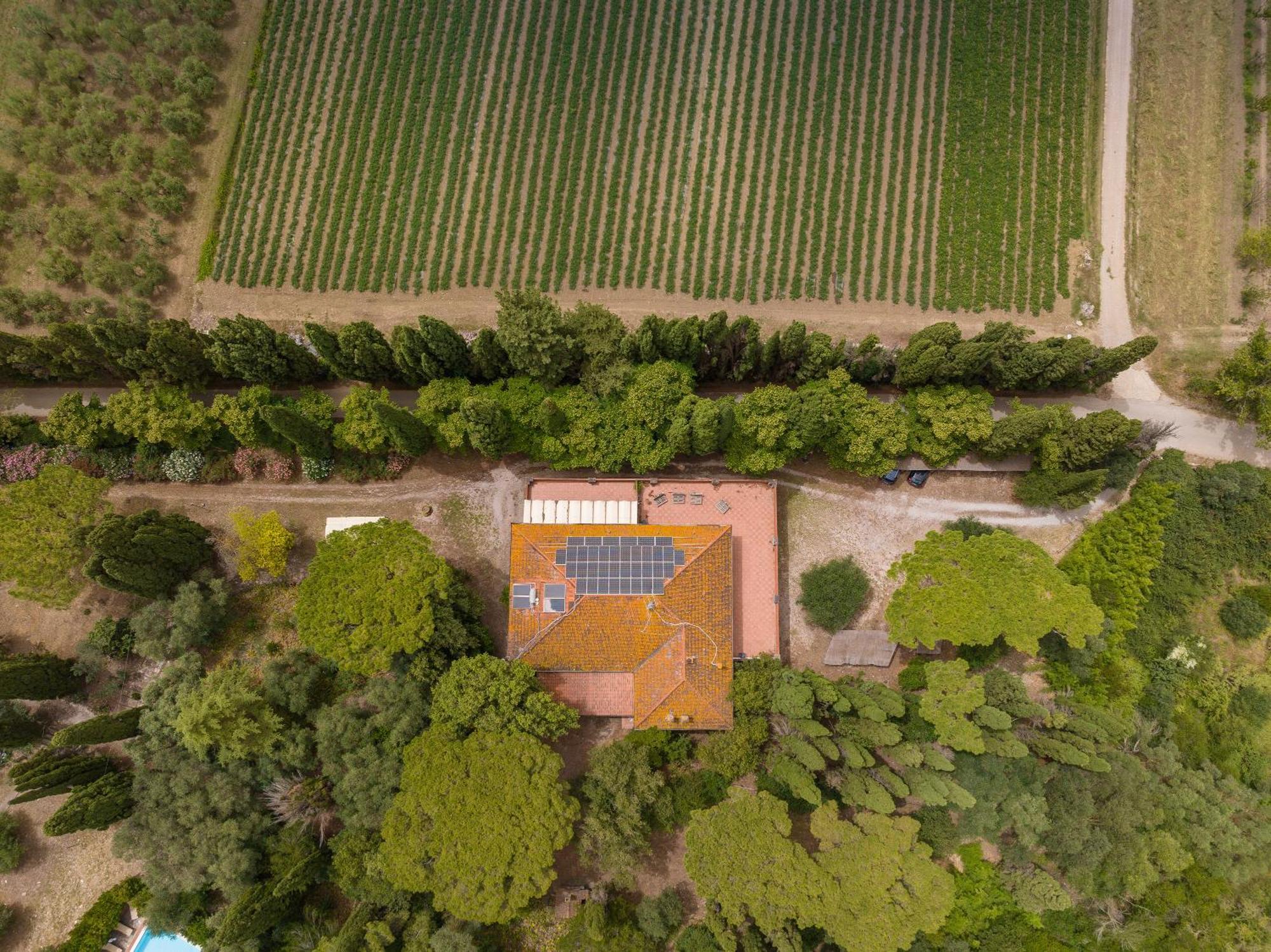 Villa I Tigli Campiglia Marittima Exteriör bild
