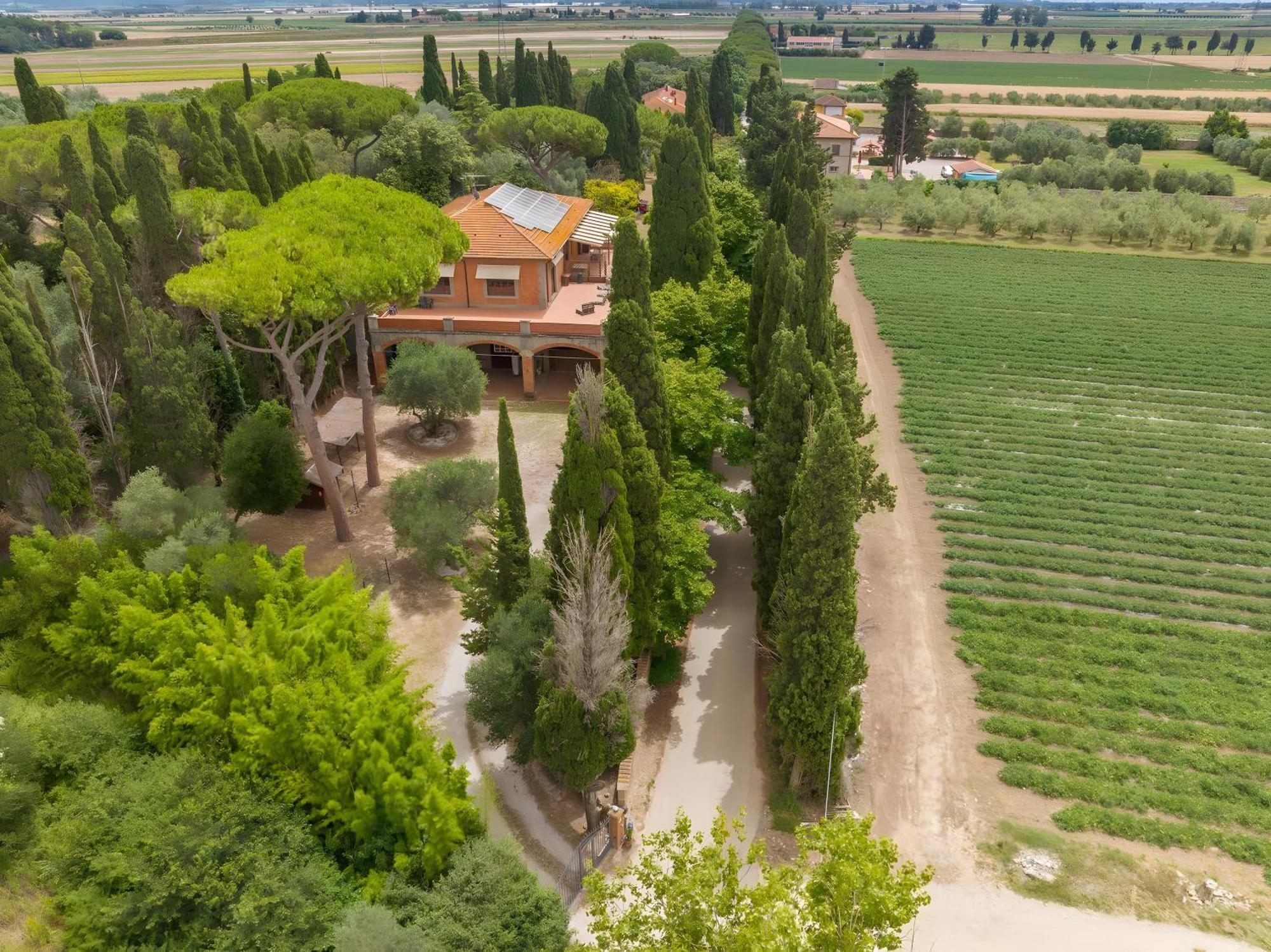 Villa I Tigli Campiglia Marittima Exteriör bild